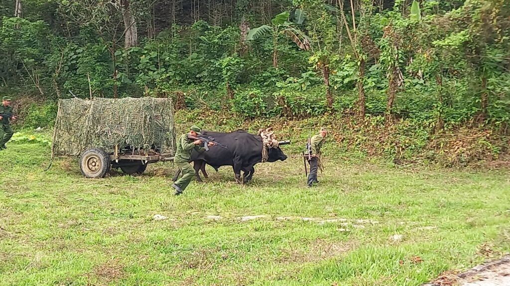 CubaHerald tweet media