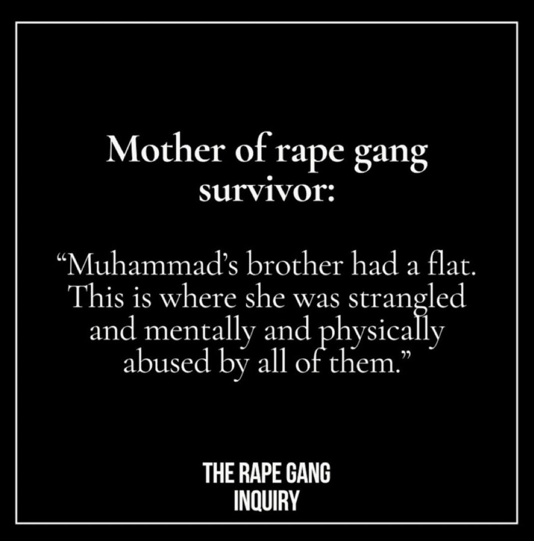 FuriouslyCalmChihuahua tweet media