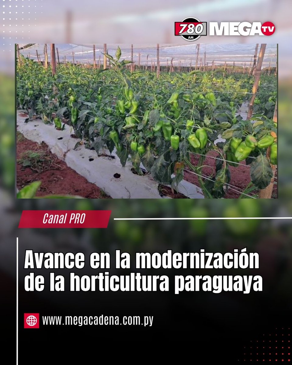 Radio 780 AM tweet media