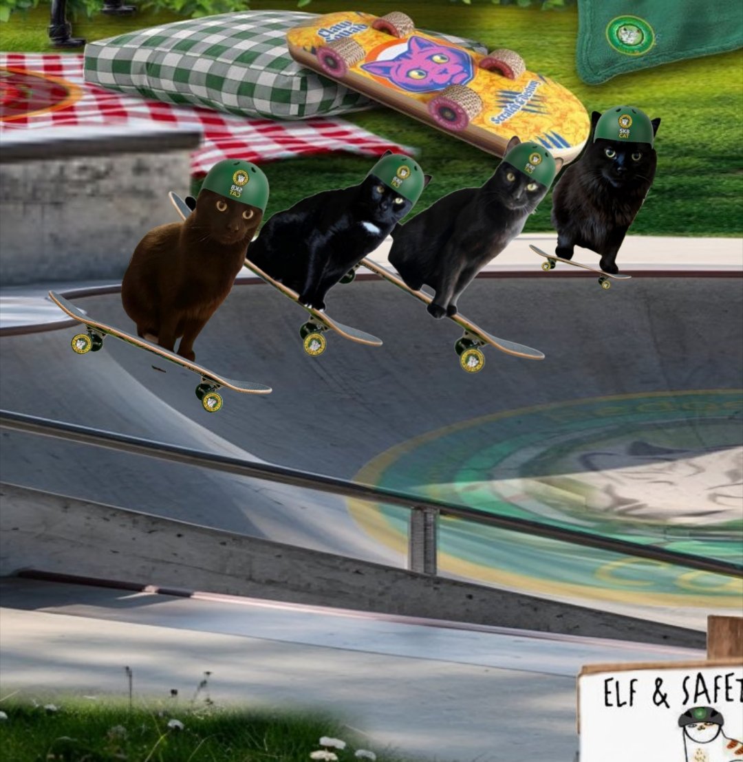 Jackson The Cat tweet media