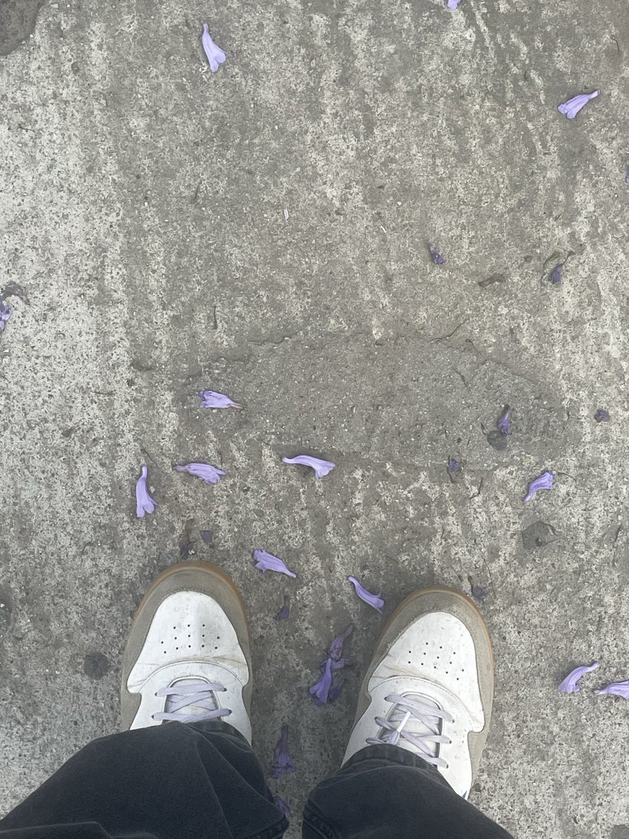 Flow tweet media