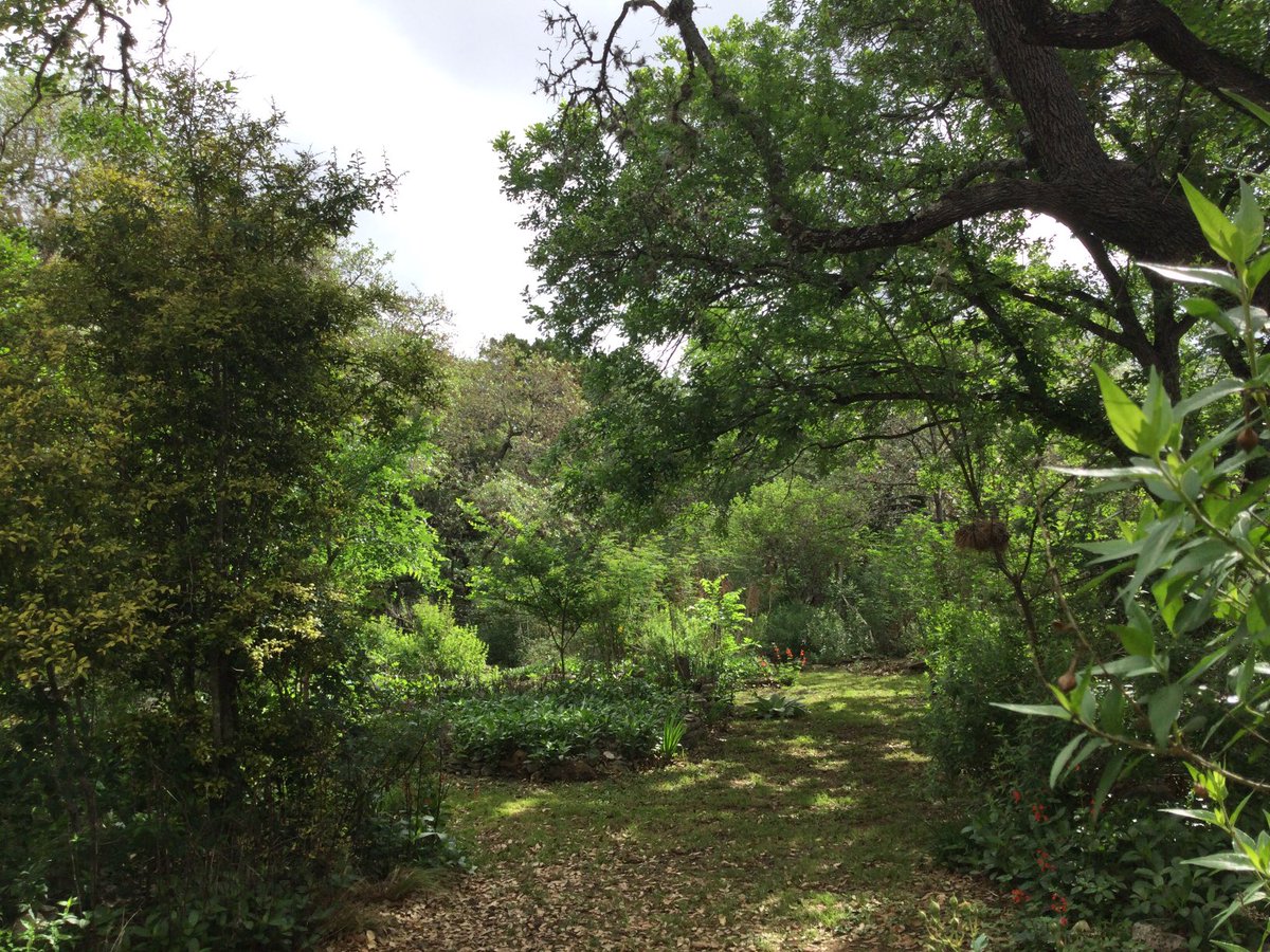 David Baumanm tweet media