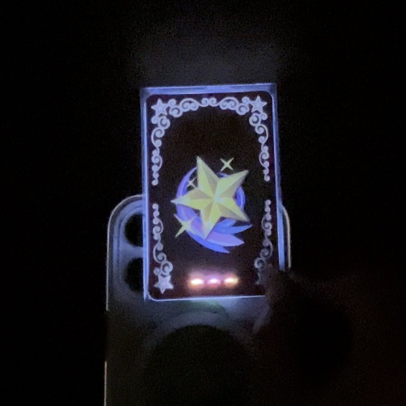 비둘기 tweet media