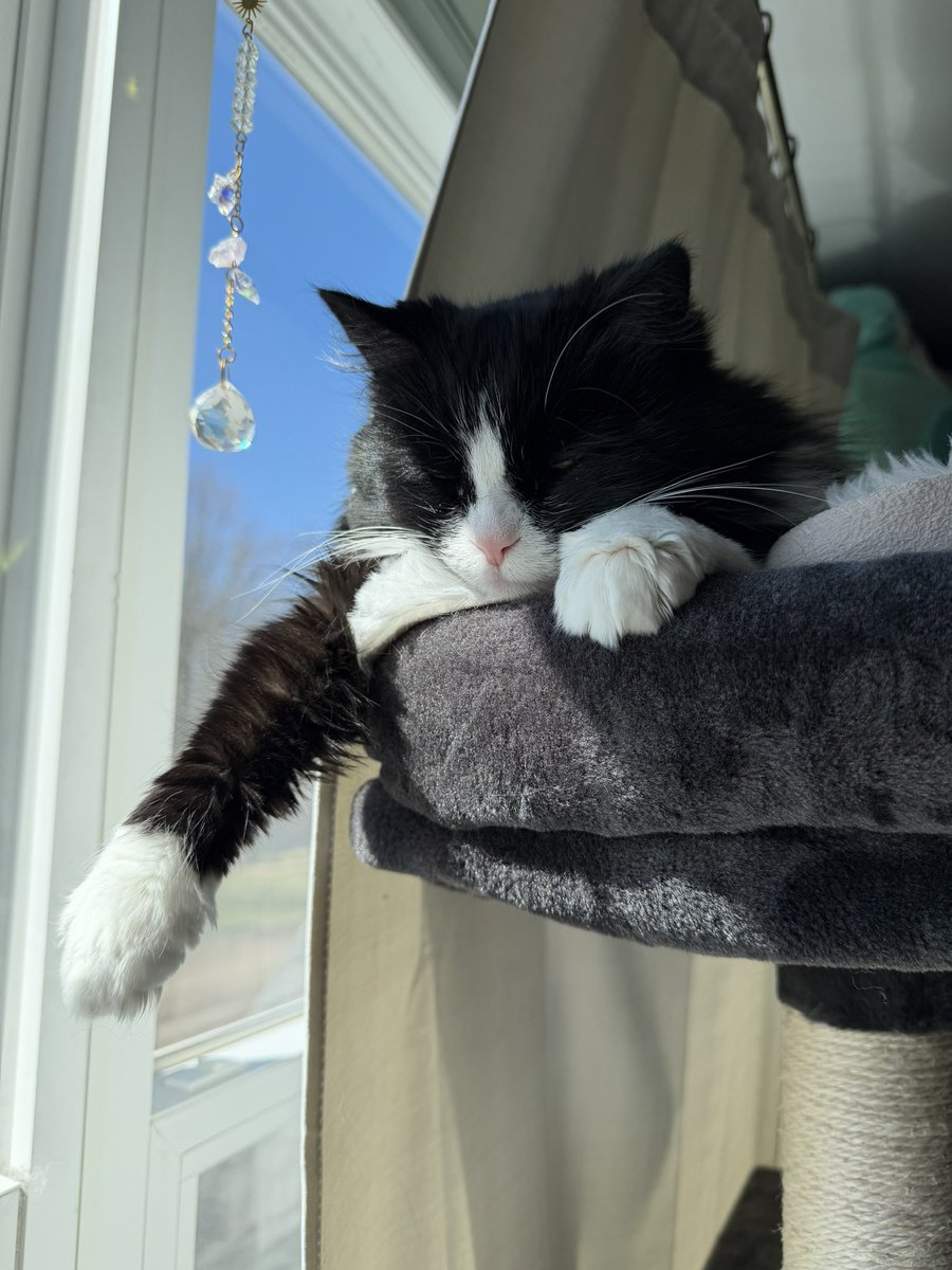 ally 🤍 tweet media