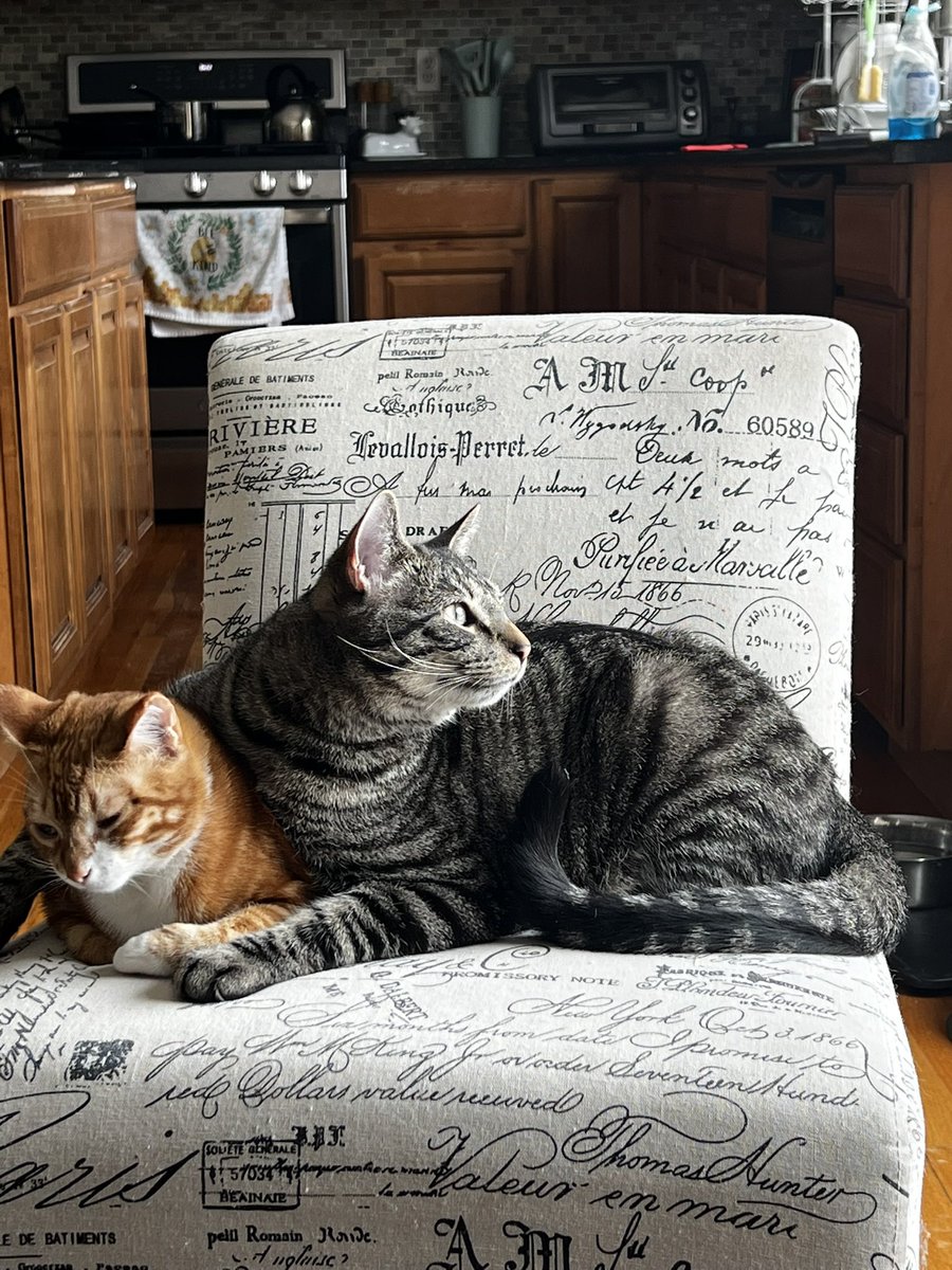 praying mama jz tweet media