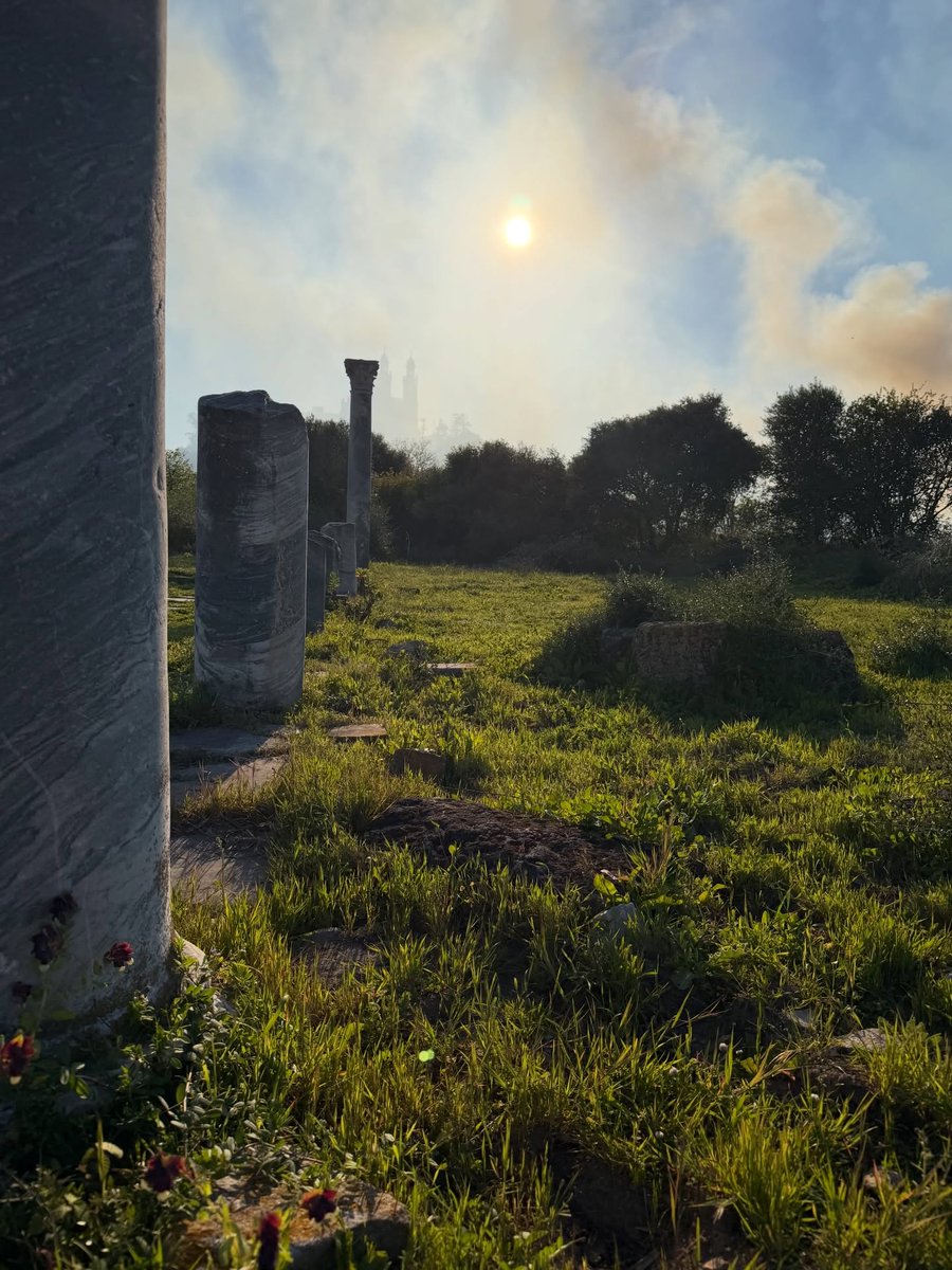 ℓιdуα tweet media