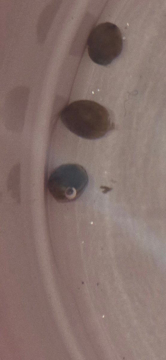 Michael 🇺🇸 tweet media