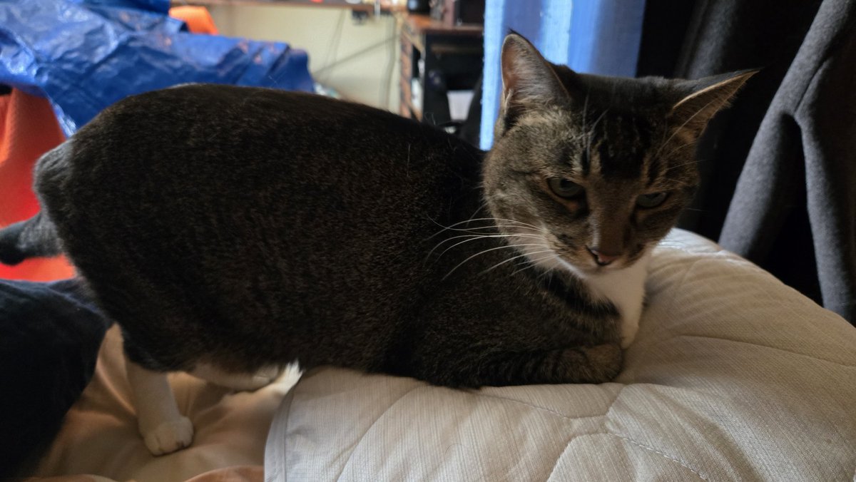 grenn＠らむう tweet media