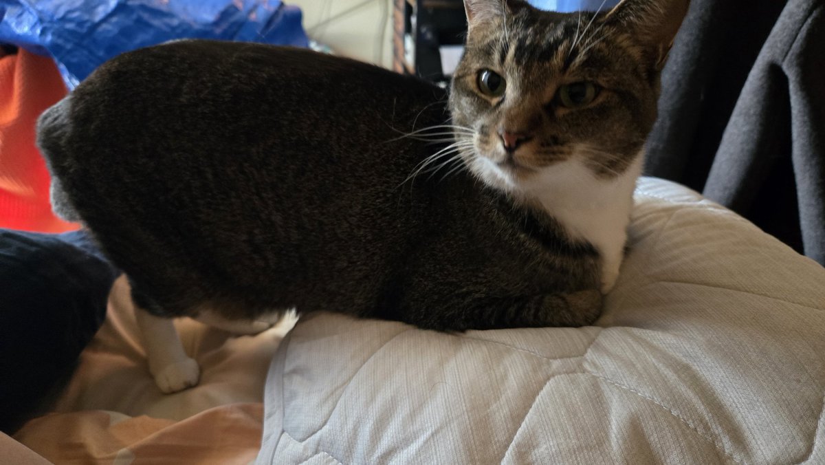 grenn＠らむう tweet media