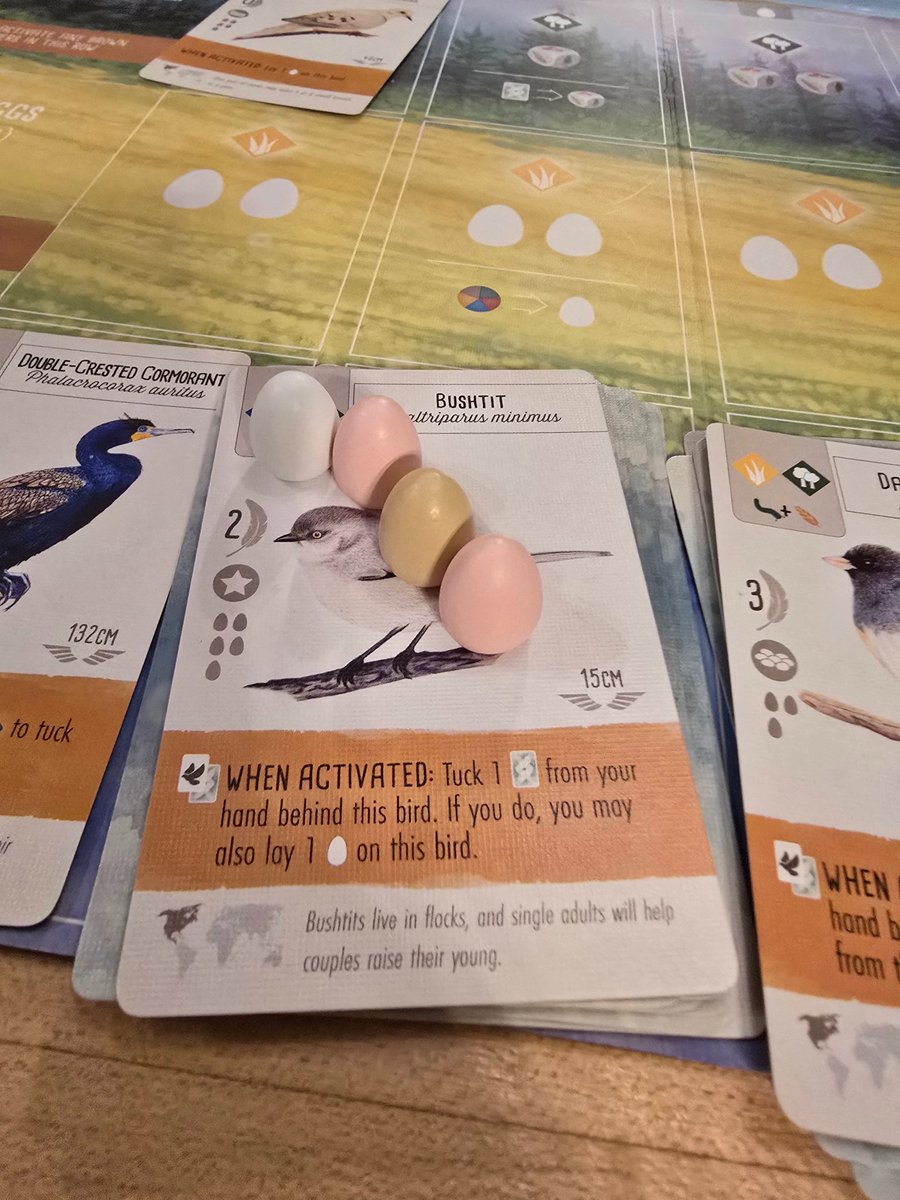 Nile (like the river) tweet media