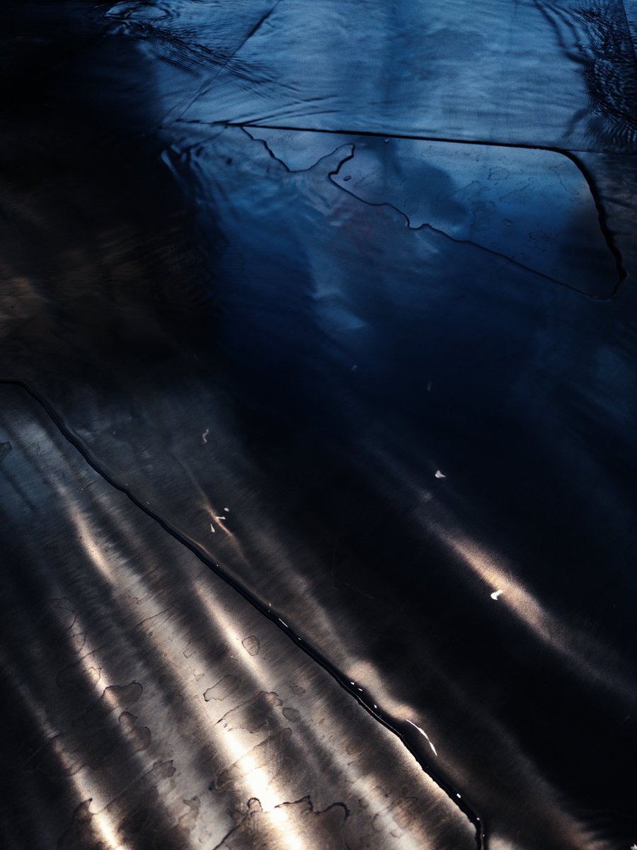 Koloristika™ tweet media
