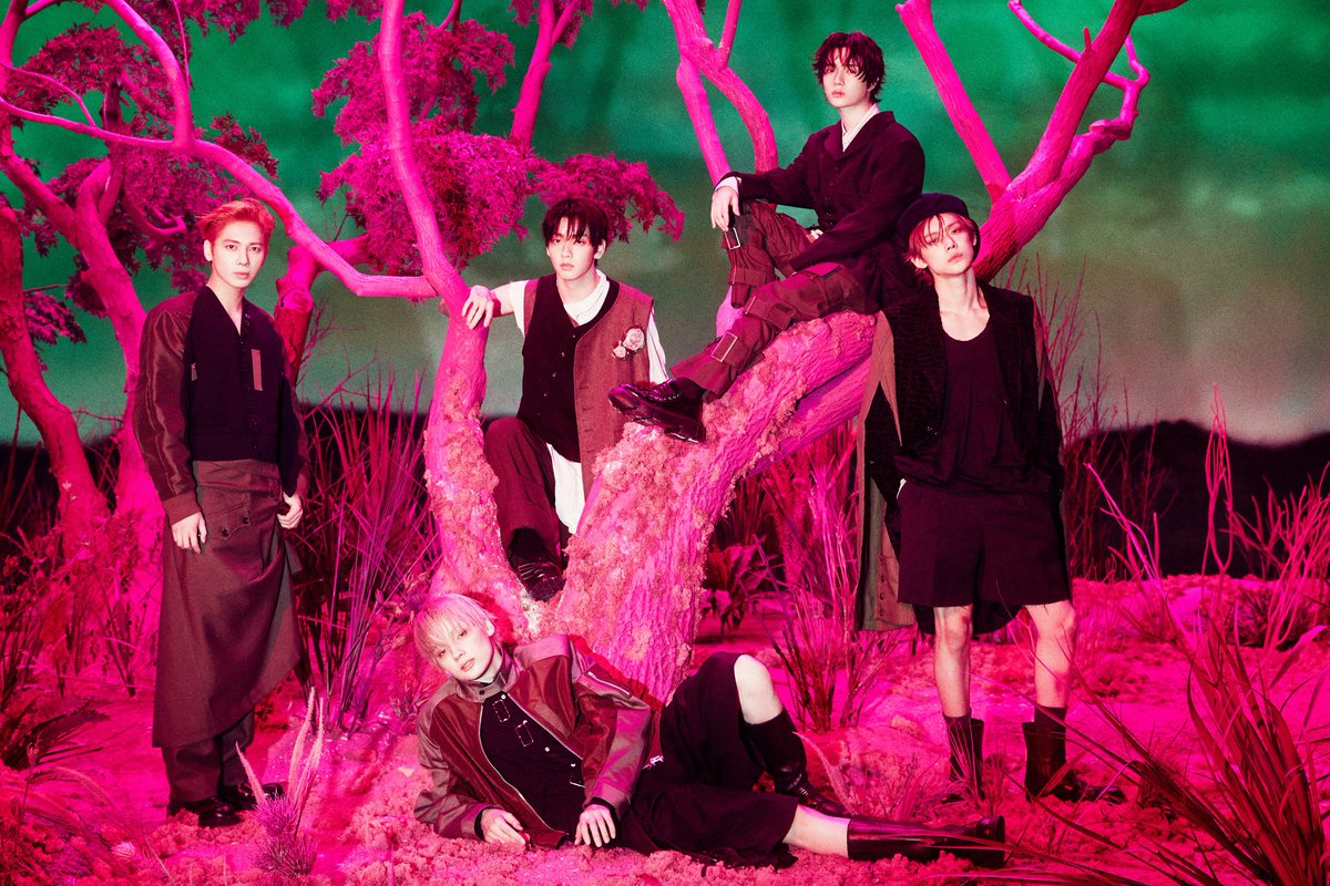 7th year: je✩ (ia) tweet media