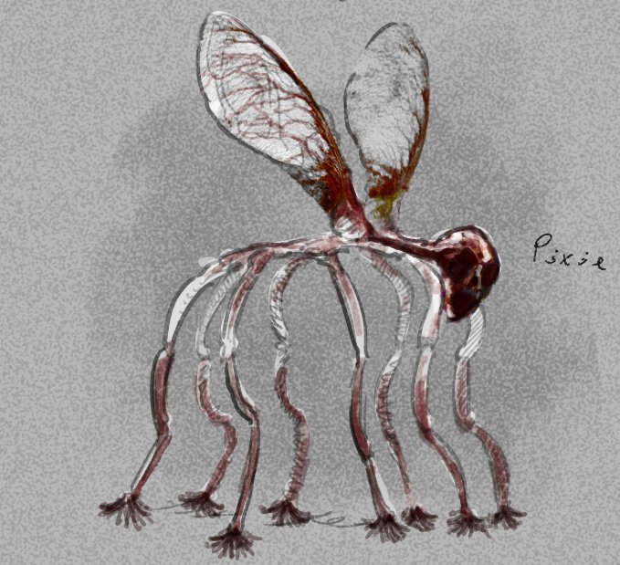 Otto Okitavios comms closed!!! tweet media