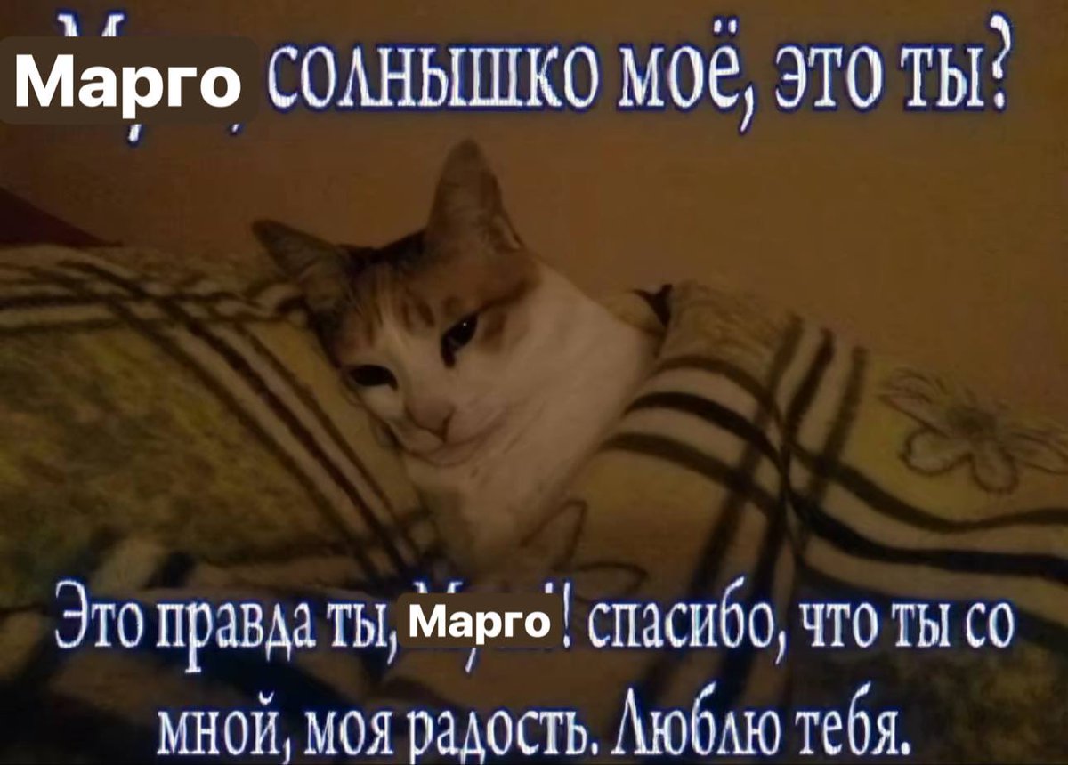 mrvoeu's tweet photo. https://t.co/YlTnROXbI7