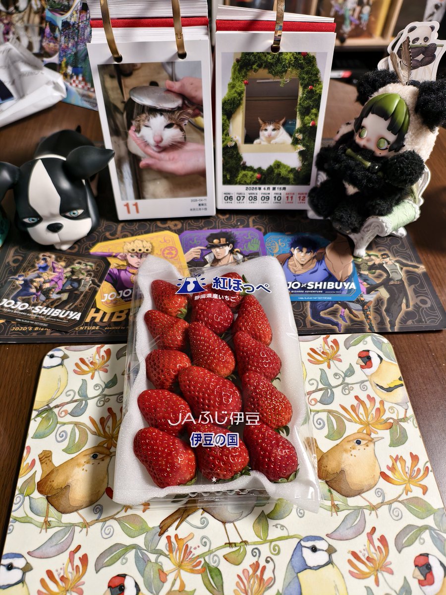 鄧 佳湄 トウジャメイ tweet media