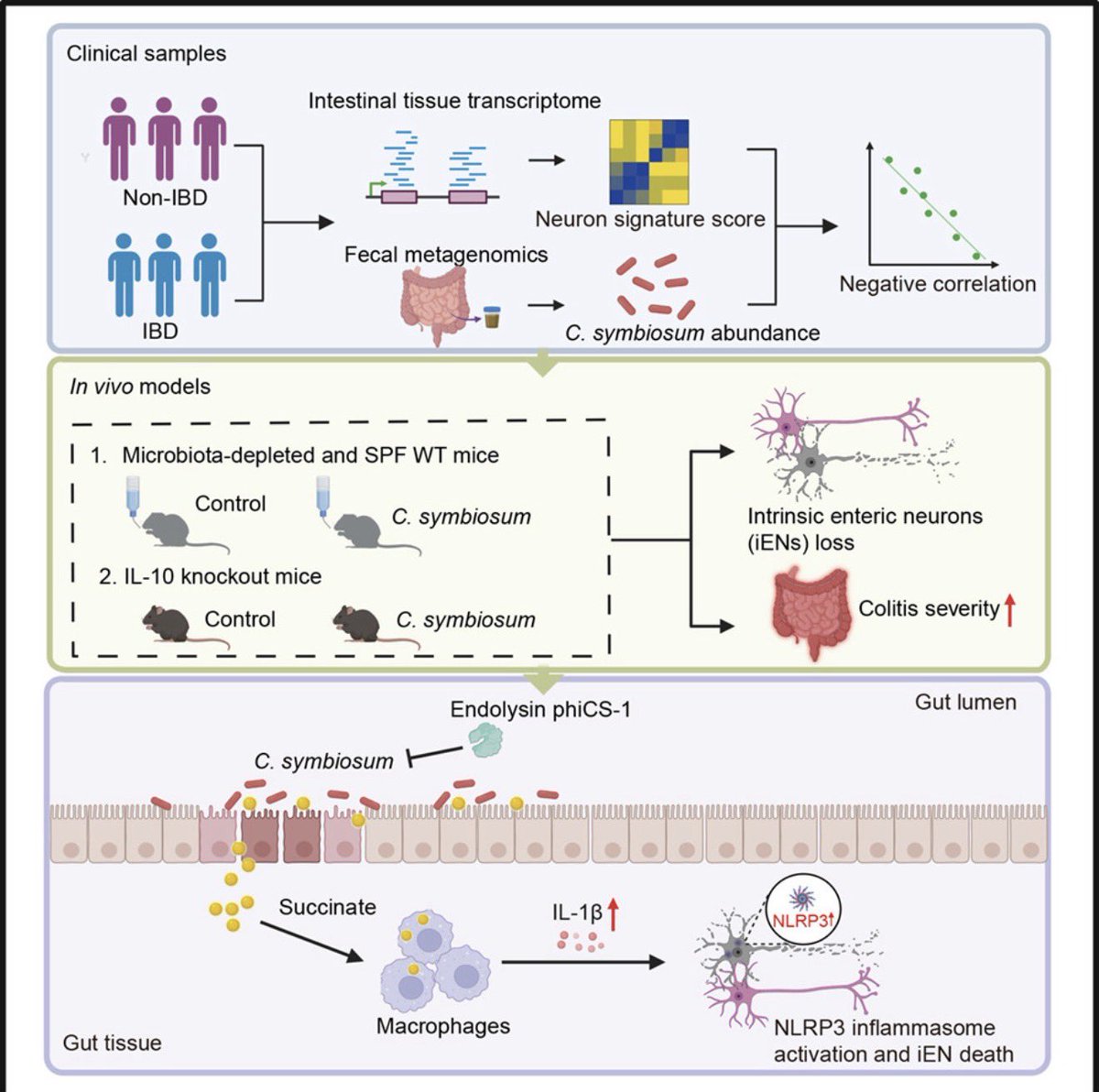 Ivan Zanoni tweet media