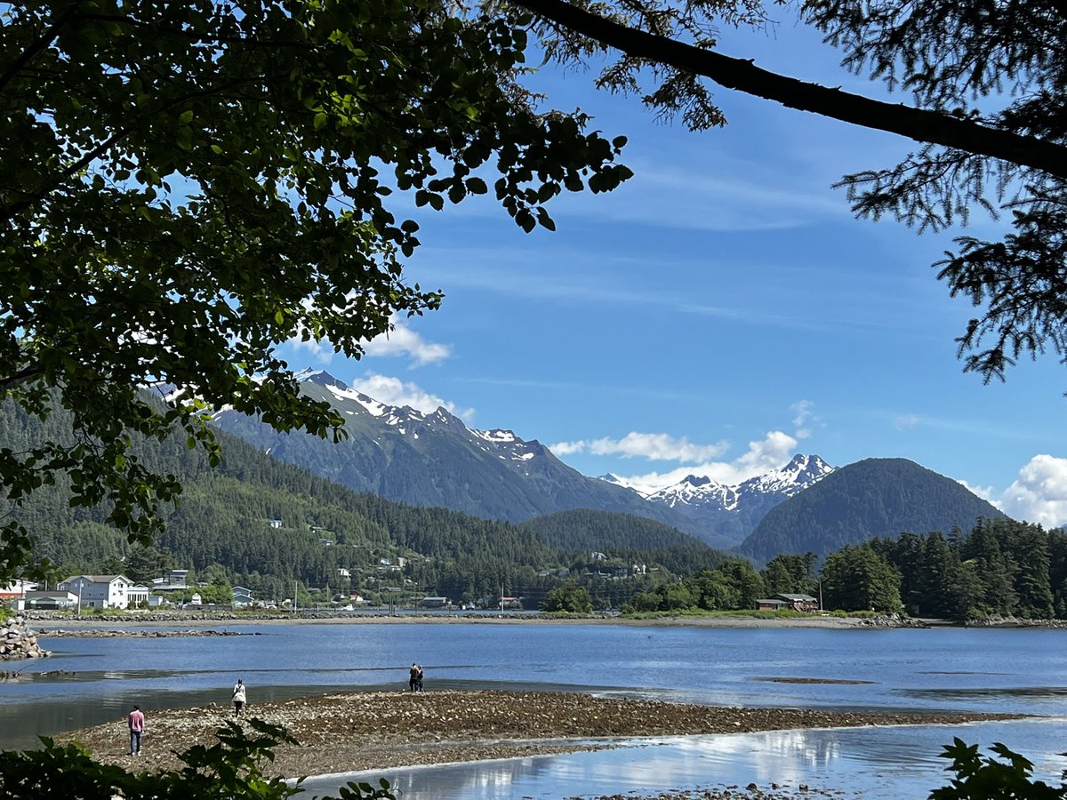 praying mama jz tweet media