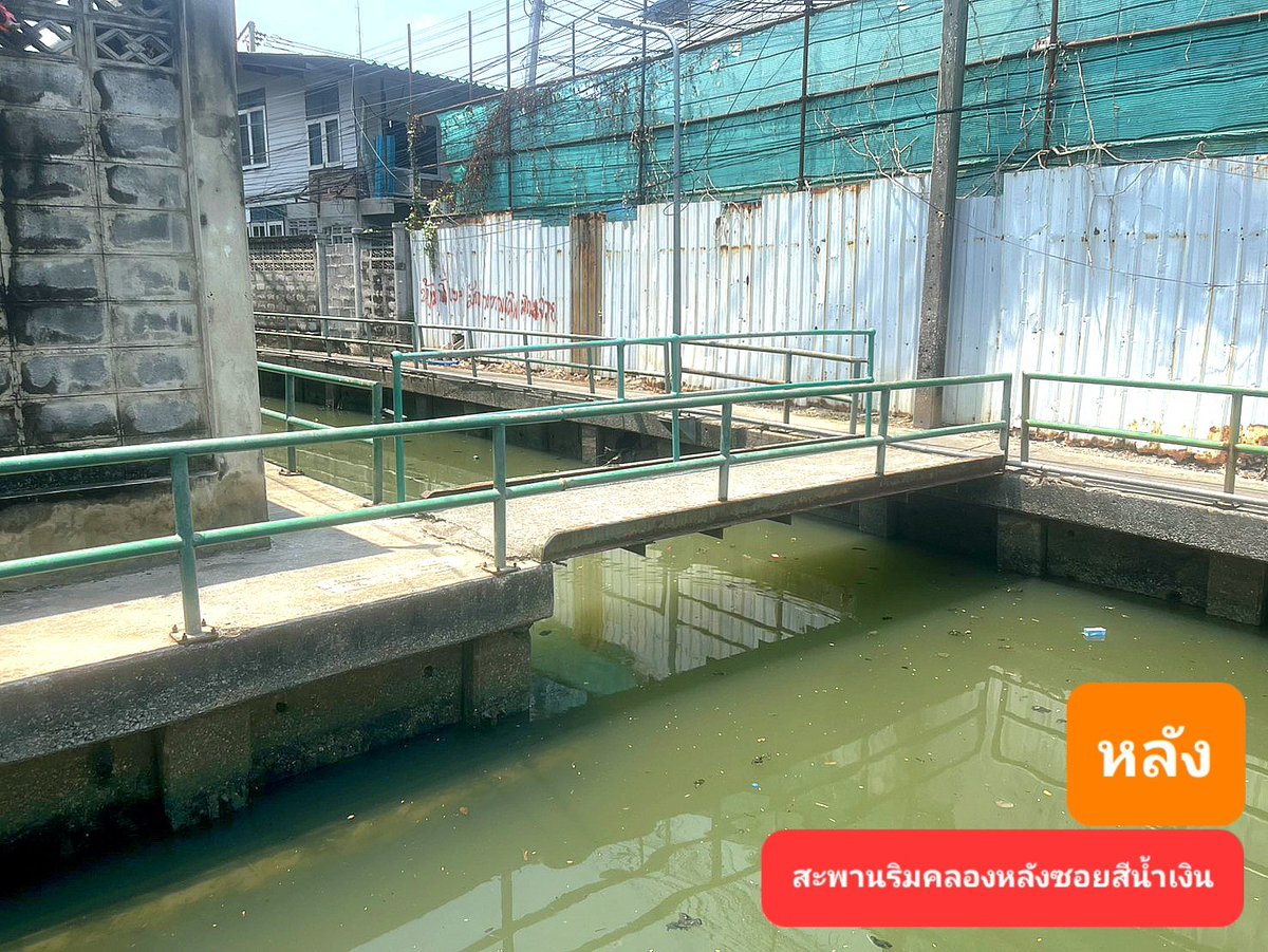 เนอส ภัทราภรณ์ 🍊 ส.ก.บางซื่อ (ไม่ใช่สส.!) tweet media