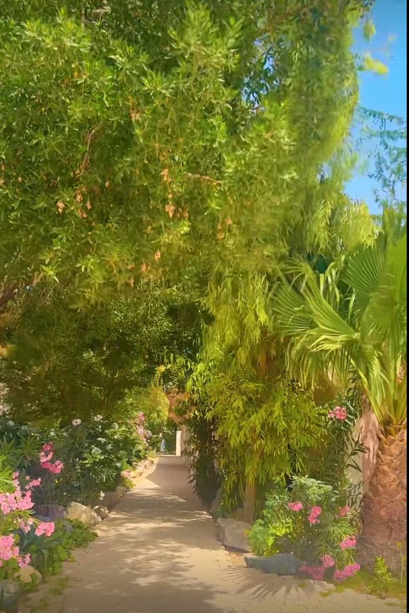 مشعل بن محمد بن سعود بن عبدالعزيز tweet media