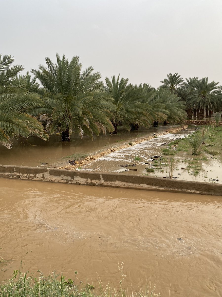 ابوعبدالله الفيصل 70 tweet media