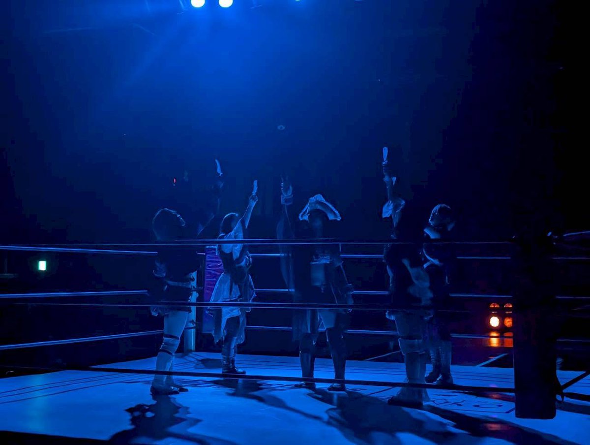 坂本茉莉🎴🦊 Mari Sakamoto tweet media