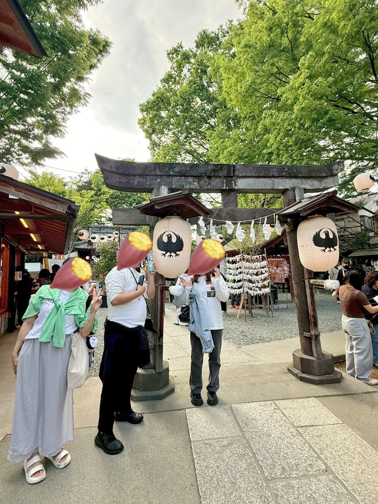 🌻🩵🍀まあ🍀︎🩵🌻 tweet media