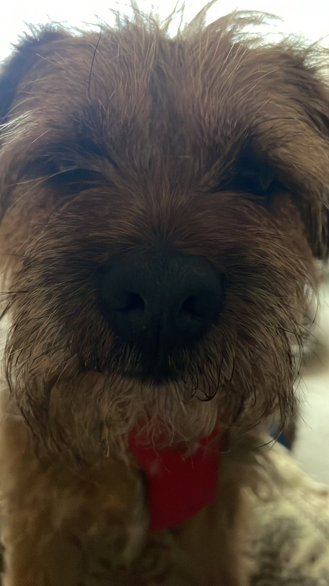 M’Lord Skipper & The Lady Fargo of Sussex tweet media