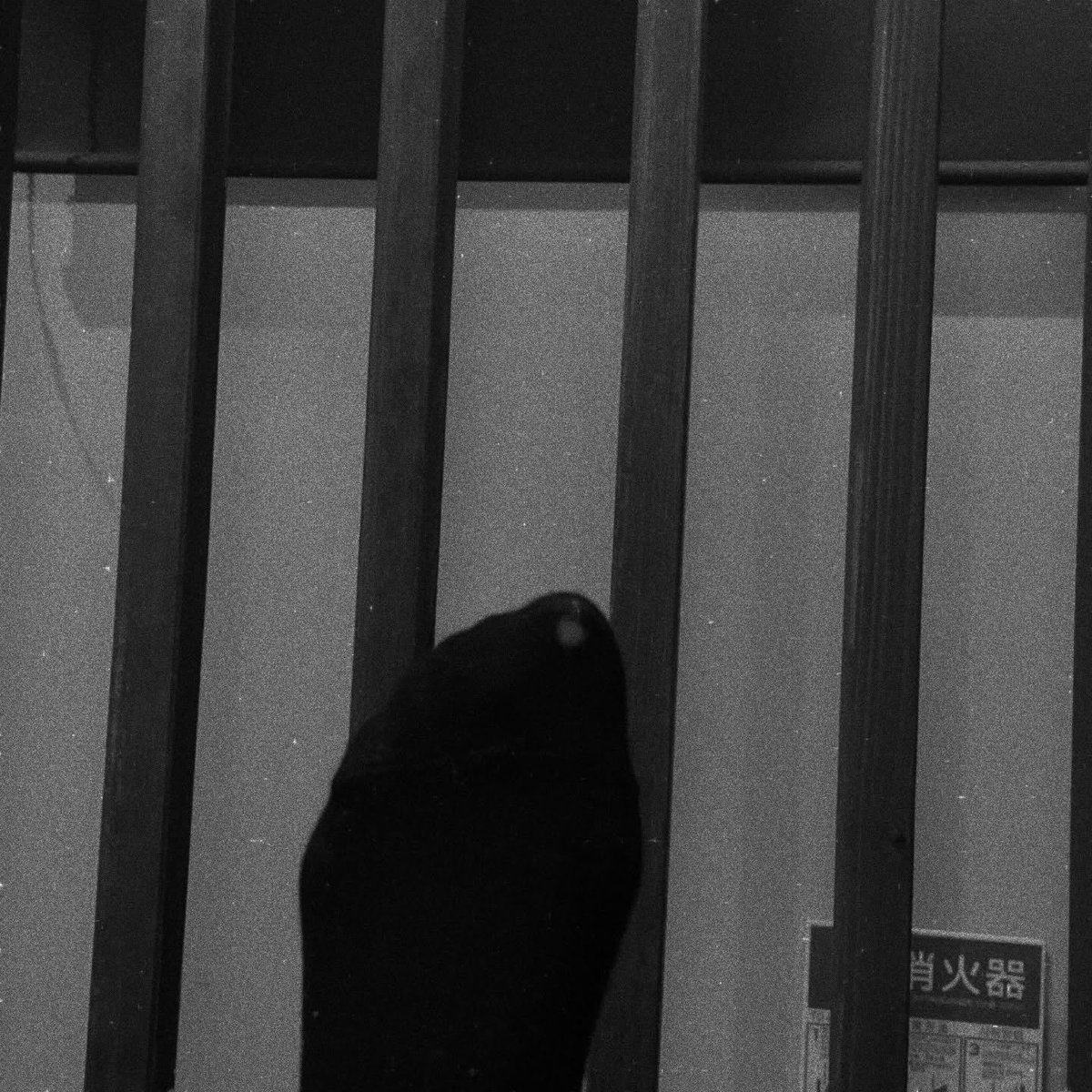 박지연 아카이브2 tweet media