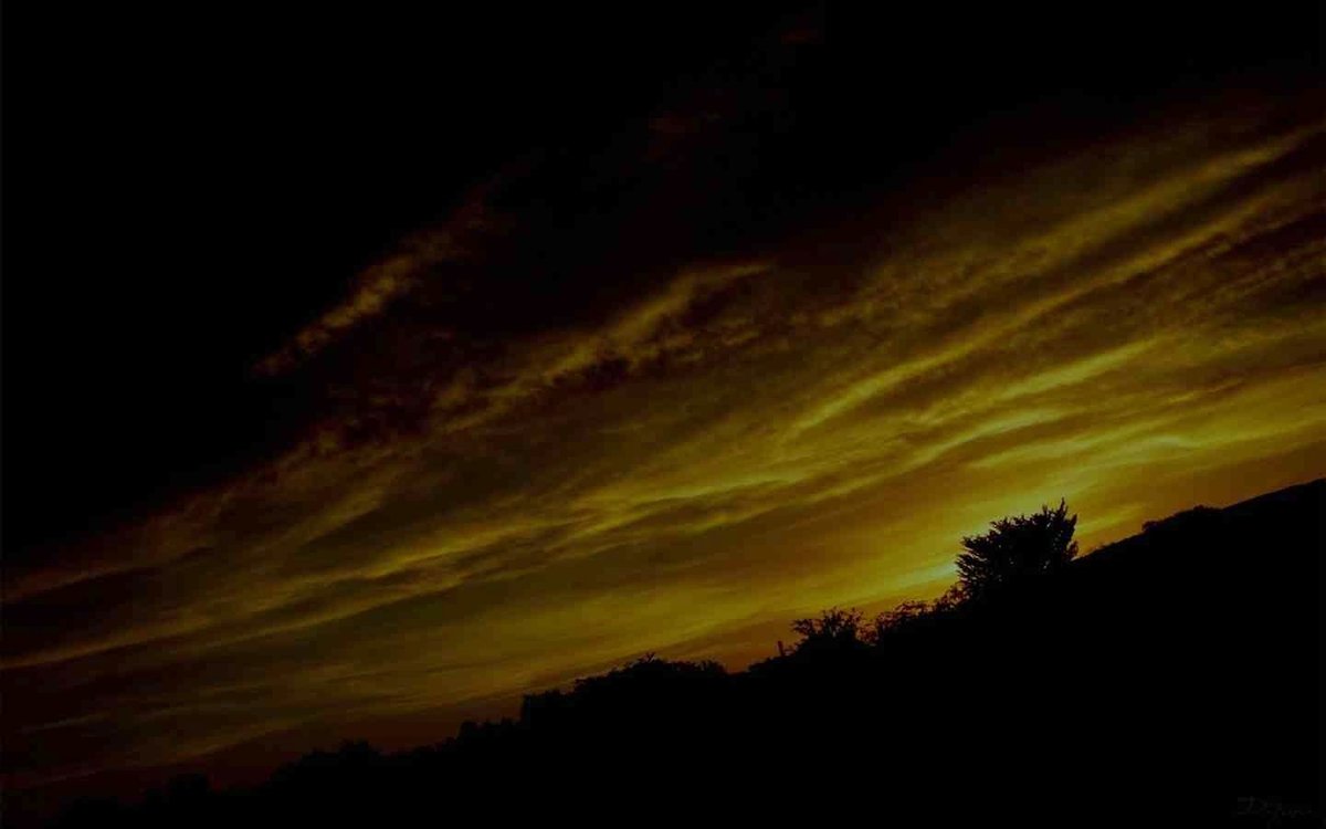 Each star glows for the quiet souls of the world