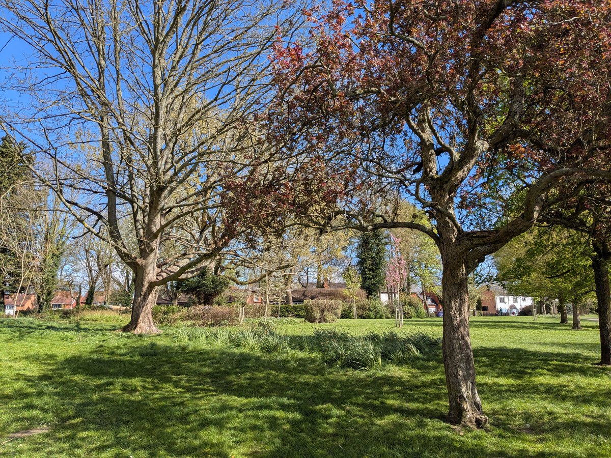 clairevhill's tweet image. Lovely this afternoon before a sudden hailstorm! #Knowle #park #friend #cafe