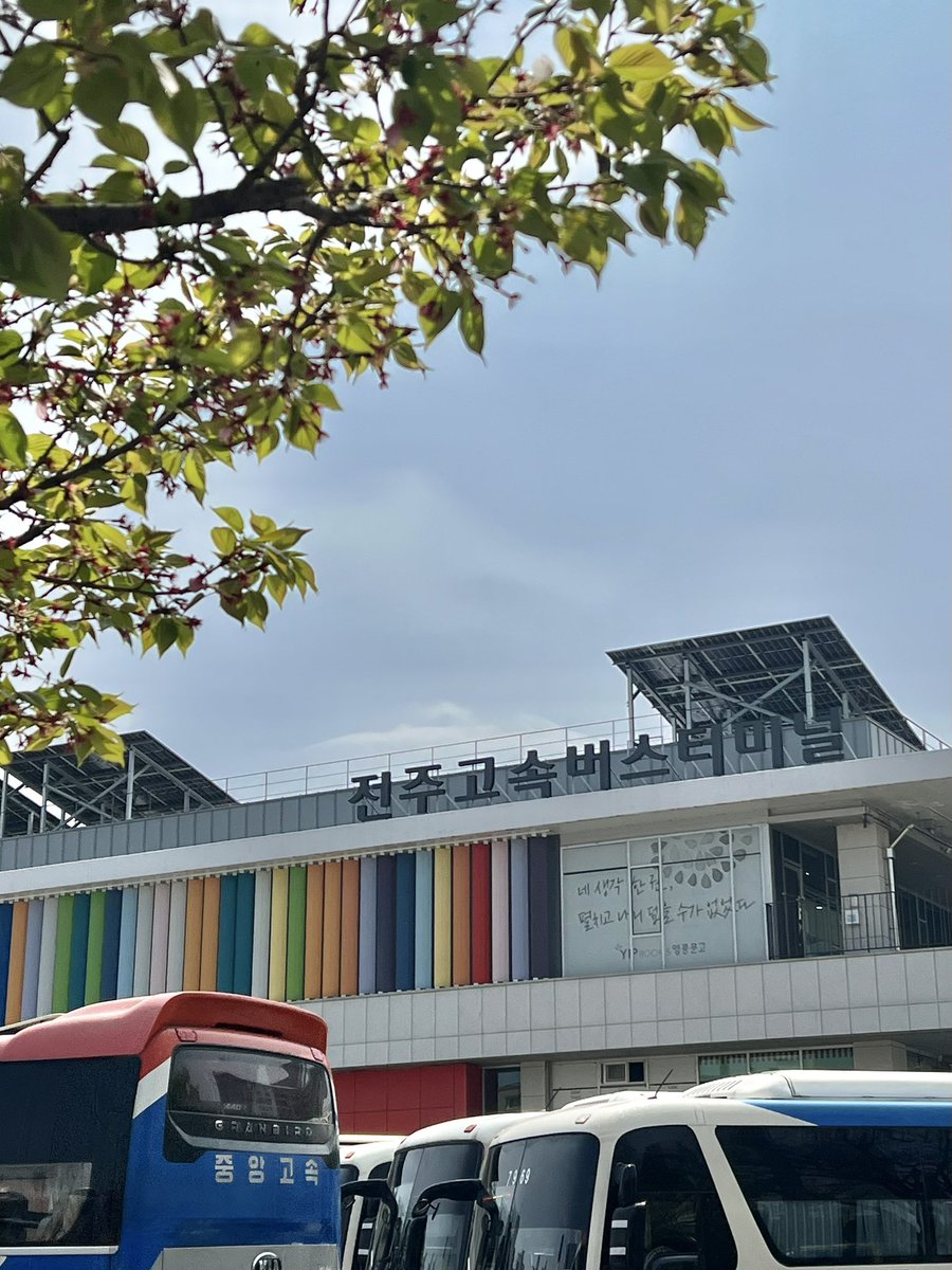 봄이 tweet media