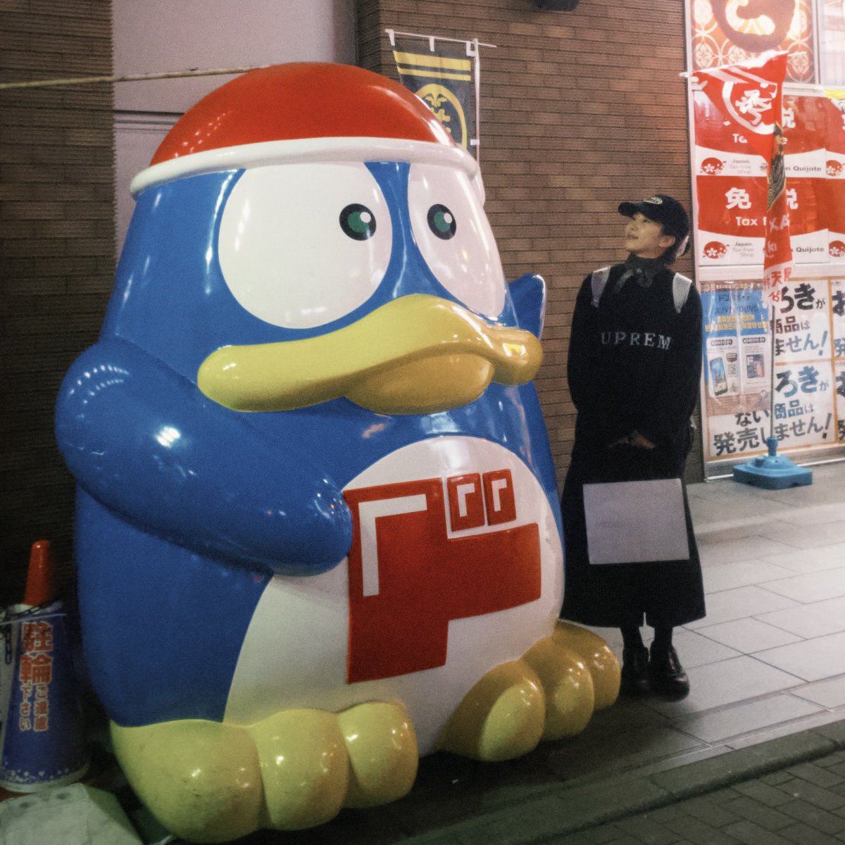 새벽산책 tweet media