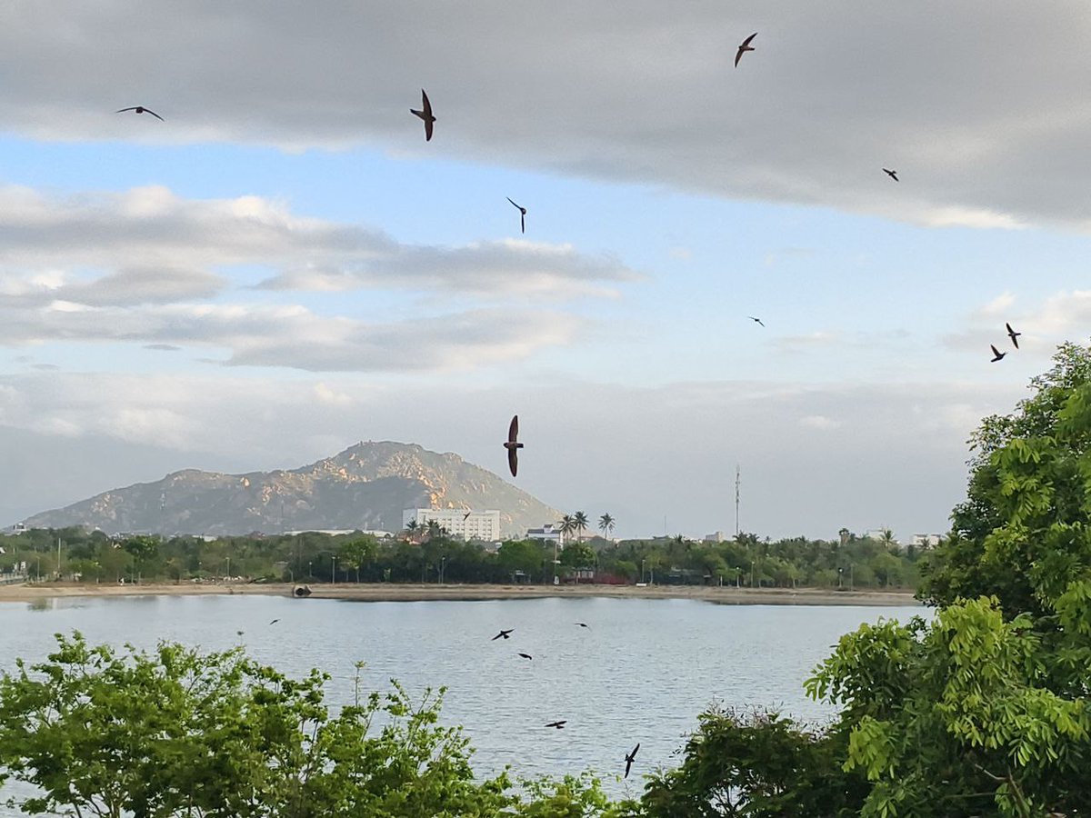 Michael.ip tweet media