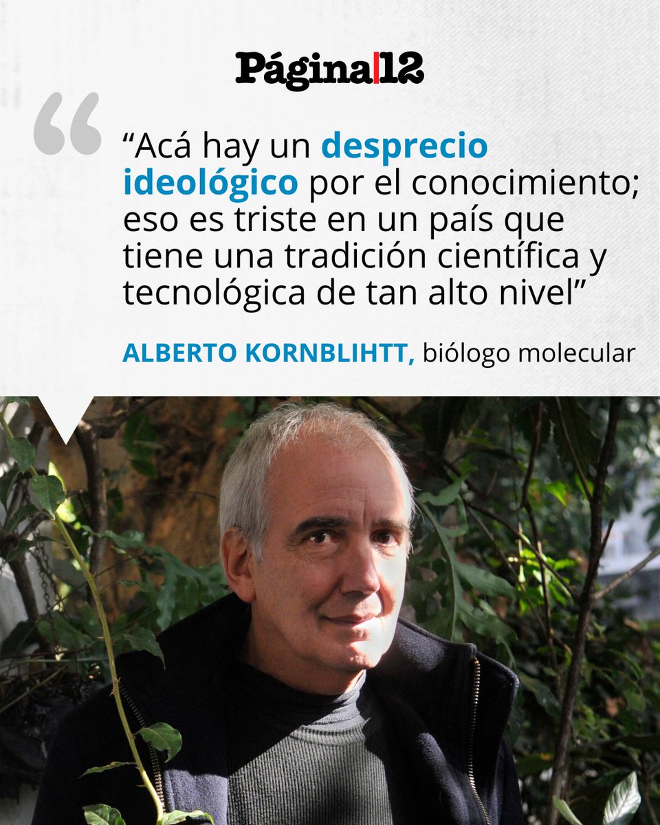 Página|12 tweet media