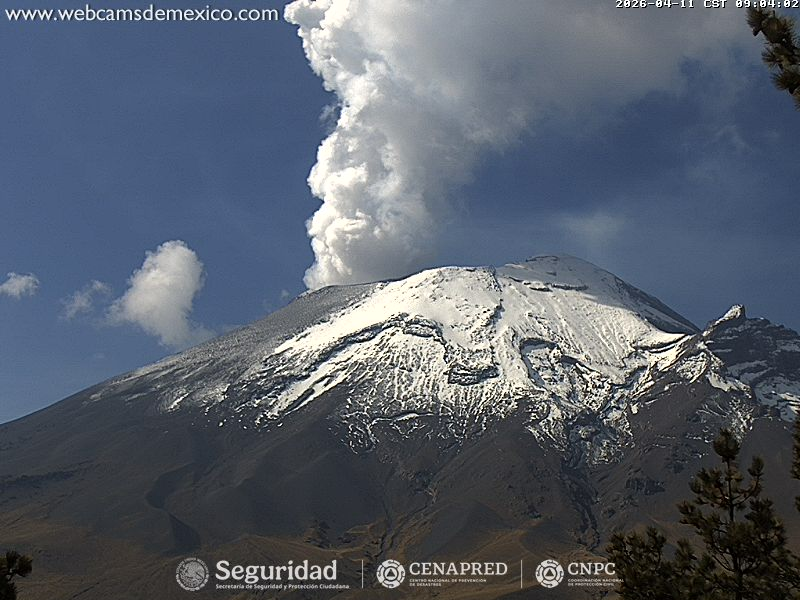 webcamsdemexico's tweet photo. ¡Impresionante actividad del #Volcán #Popocatépetl esta mañana! 🌋

La vista desde nuestras cámaras nos regala este espectáculo de exhalación constante sobre el coloso nevado. ✨

Debido a la dirección del viento, en caso de caída de #Ceniza, esta podría dirigirse hacia zonas de #Puebla y #Tlaxcala.  😷💨

¿Logras ver la fumarola desde tu localidad?
¡Sube tu foto en los comentarios! 📸💬

🚦 Alerta Volcánica: #AmarilloFase2.
Radio de exclusión: 12 km. 🚷
Vía: #CENAPRED @CNPC_MX.

Vistas #EnVivo.
#Altzomoni:
https://t.co/h01wcXvW4U

#Tlamacas:
https://t.co/2lcbtXGB3z