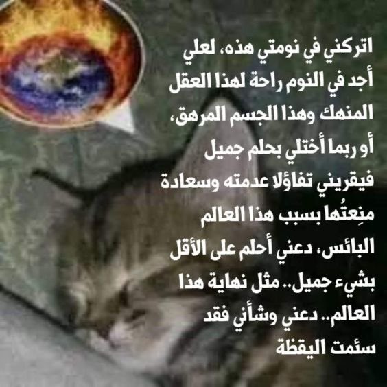 المدير العام tweet media