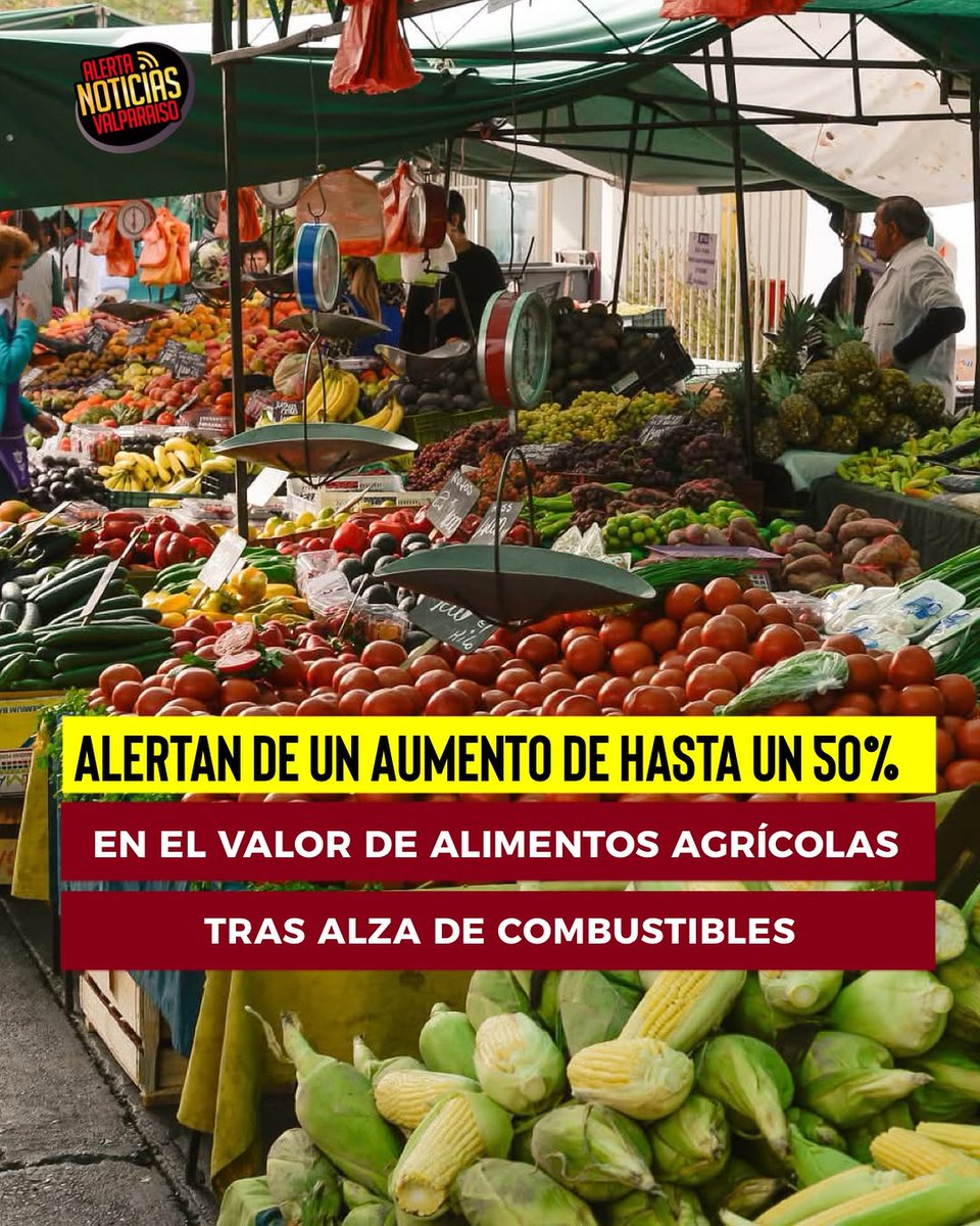 Ciudadano Roberto Kiltro tweet media