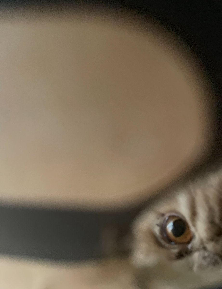 ムック tweet media