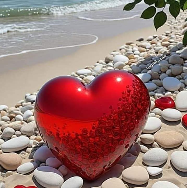 AminRadey's tweet photo. @k44446496 https://t.co/xwaPFzfzgL
