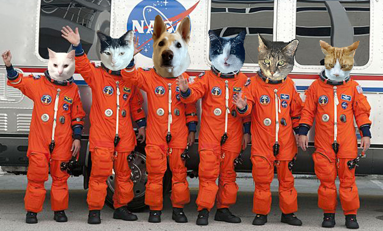 🌊😺Flo and Rear Admiral Sammy😺🌊 tweet media