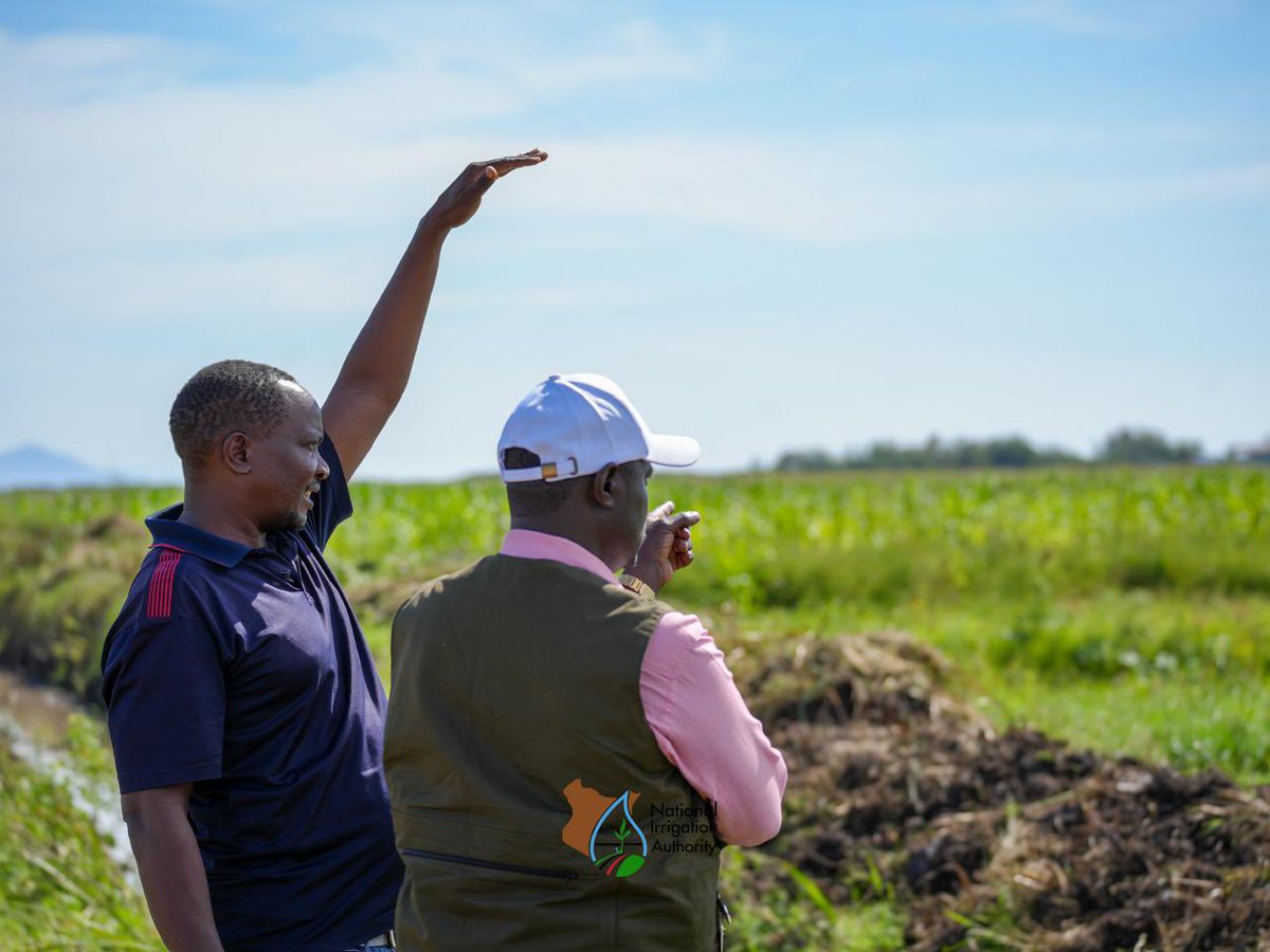 National Irrigation Authority tweet media