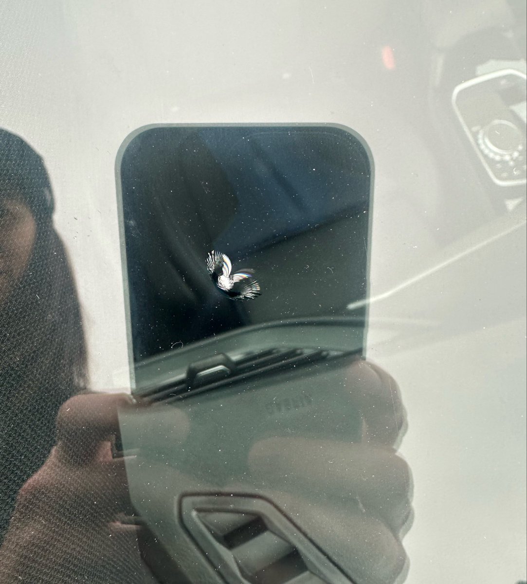 SeeaVancia tweet media