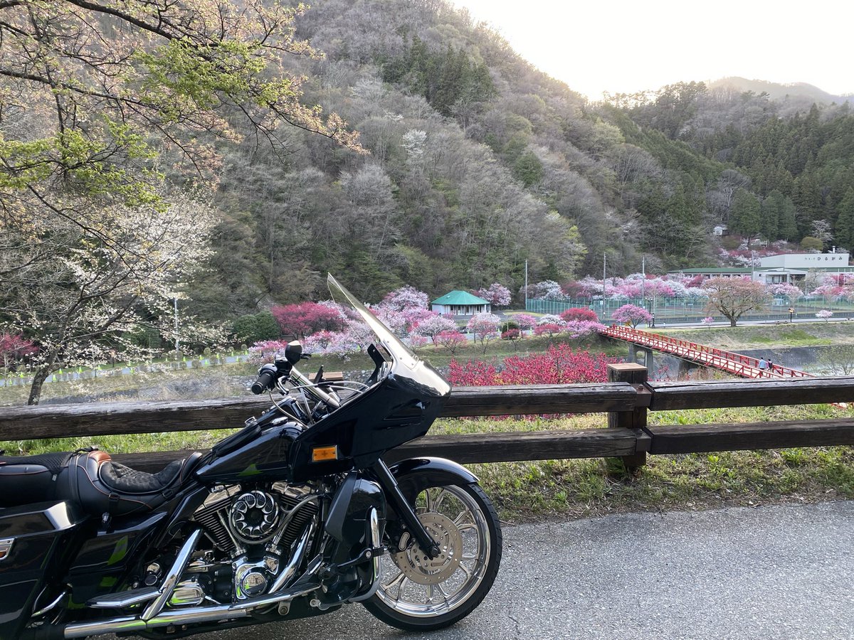 CASCADE-RCDrift circuit (カスケード磐田) tweet media