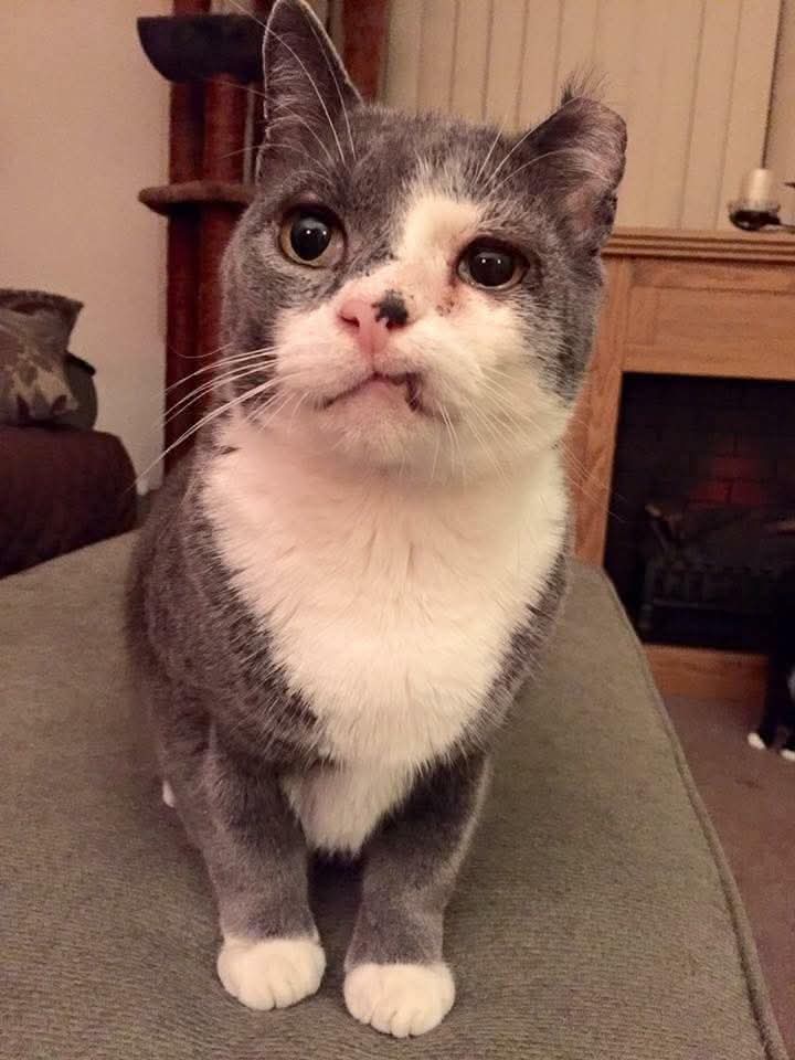 Tahira Sanam tweet media