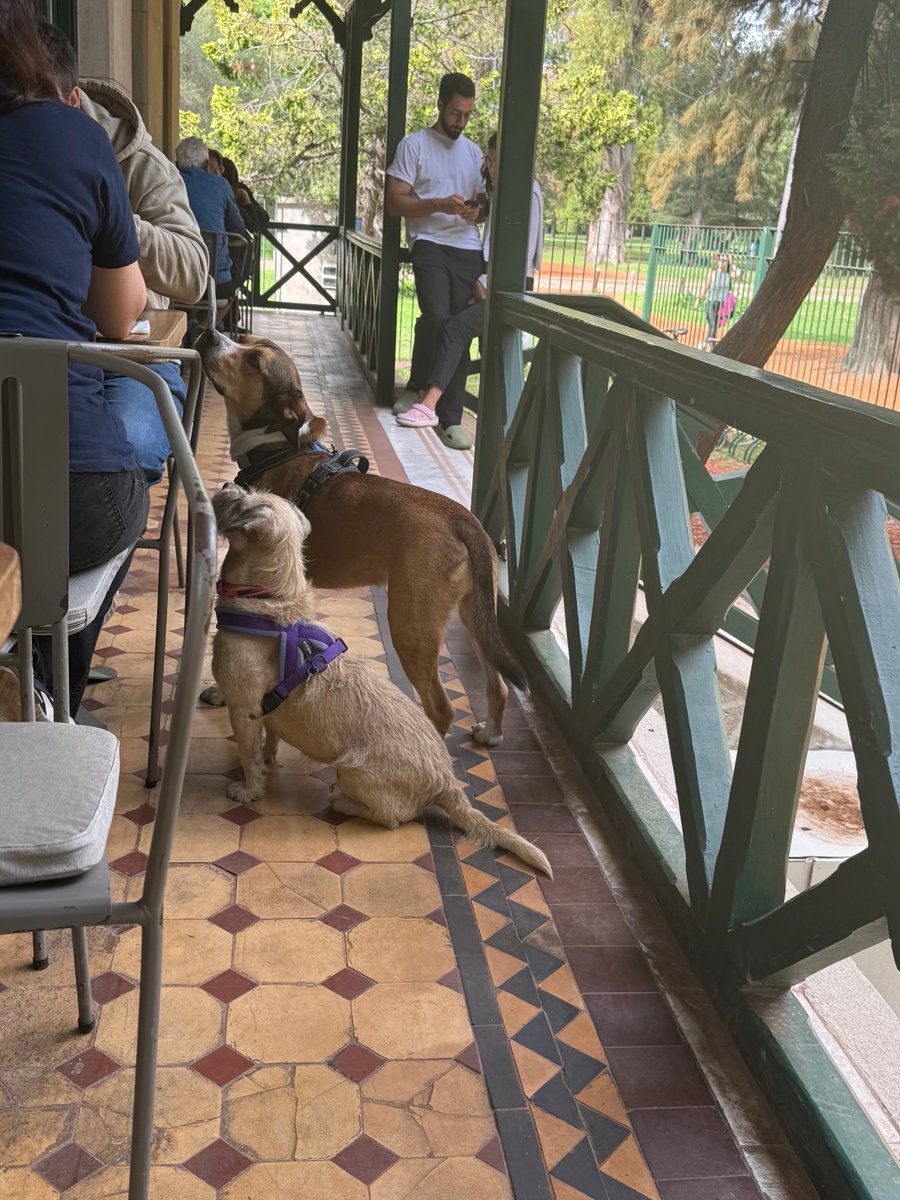 LaReinaDeLosHurones🇺🇦 tweet media