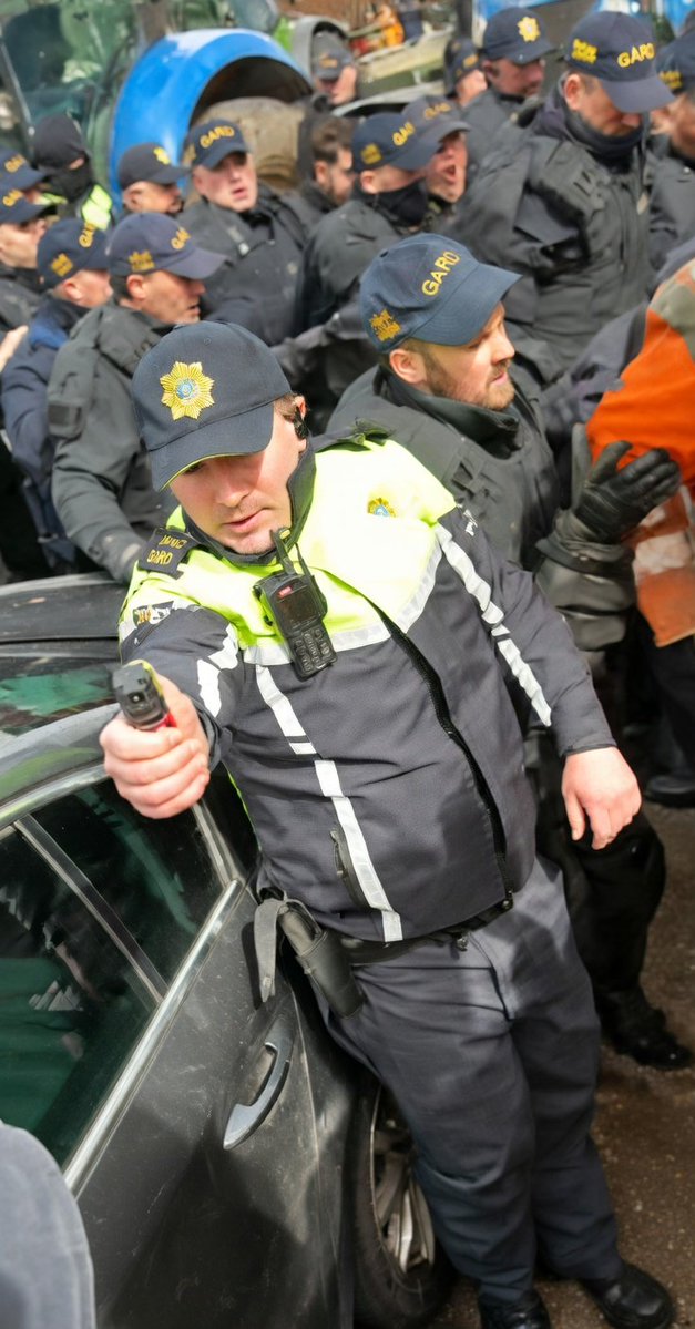 Limerick Now tweet media