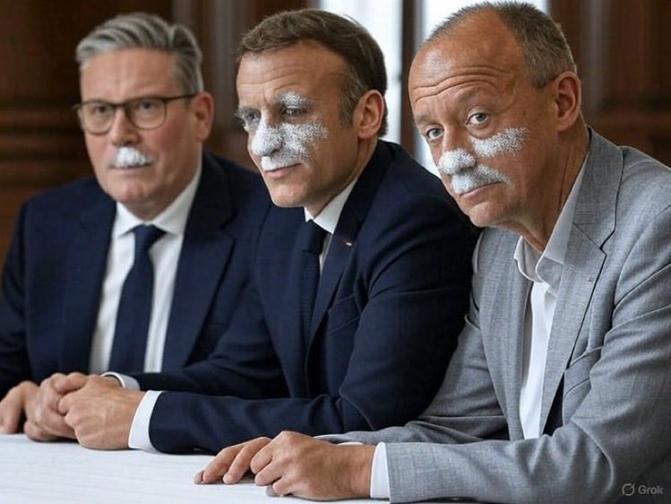 Liberal Sense tweet media