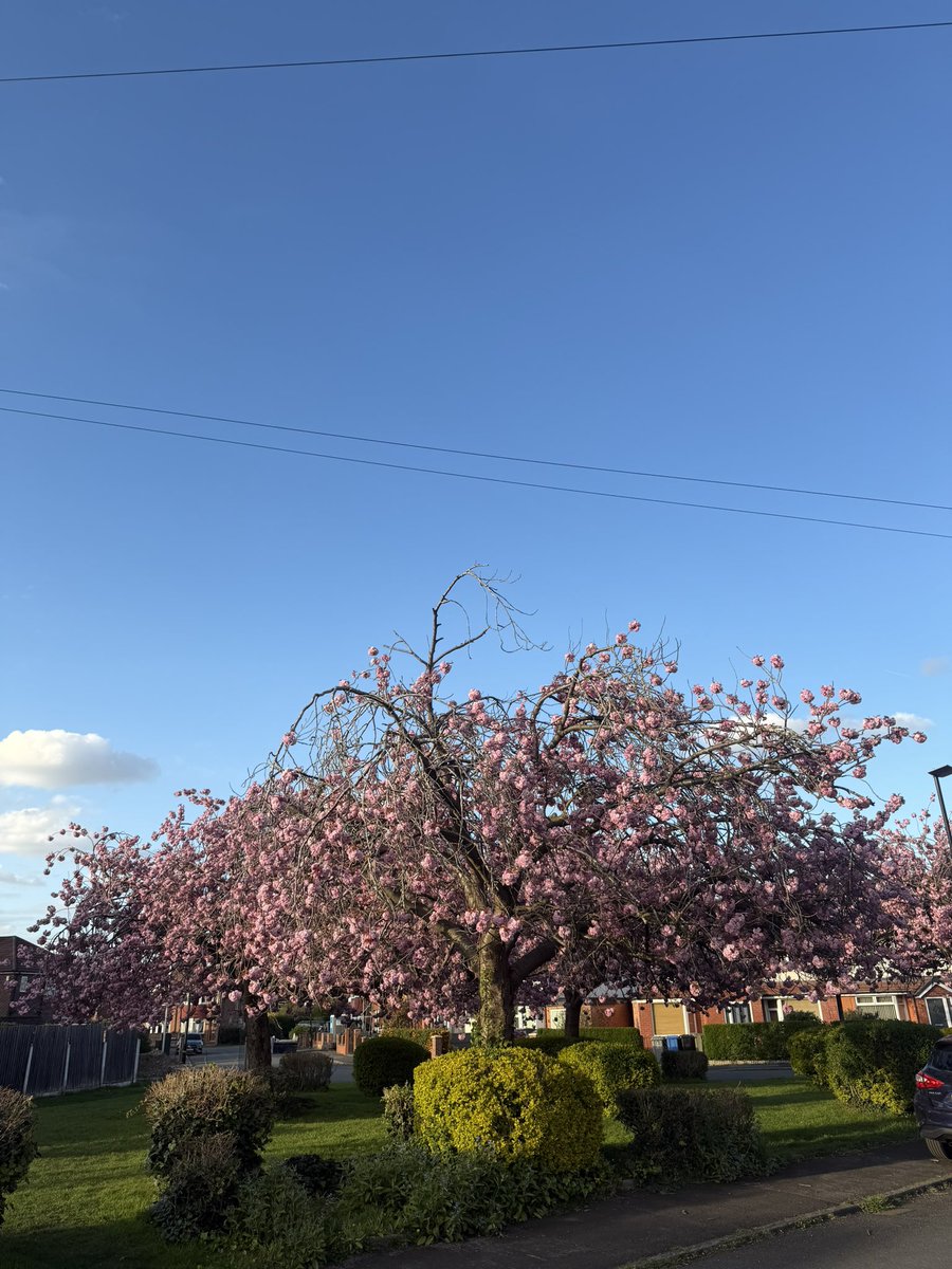 Armand Beasley tweet media