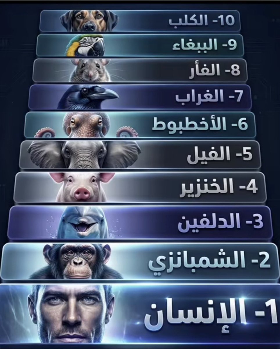 وليد tweet media