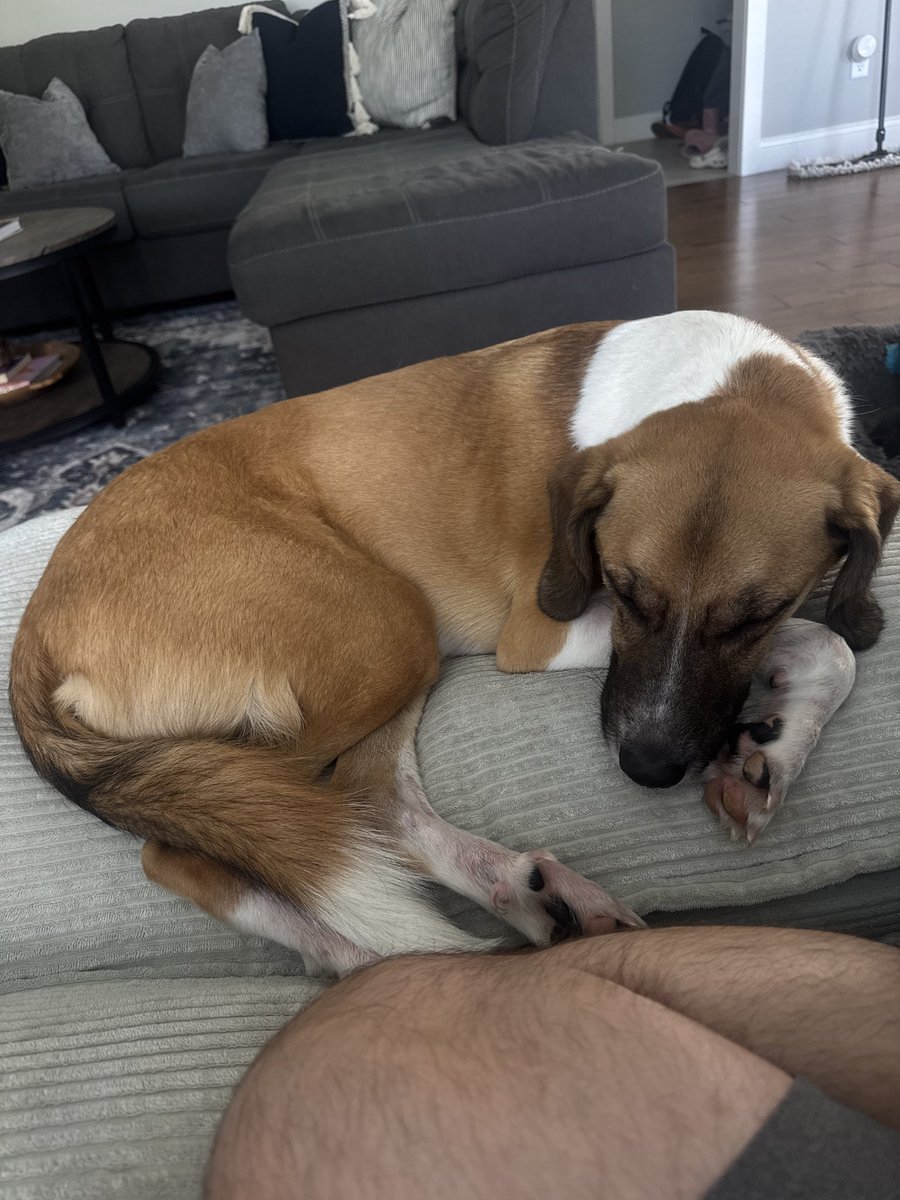 Grim Butkus tweet media